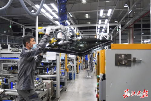 偉巴斯特武漢工廠提前三月投產，區域外資集聚效應凸顯